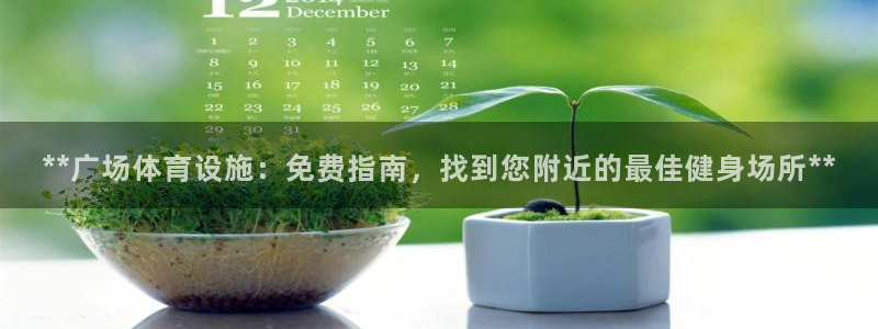 意昂3娱乐首页官网下载：**广场体育设施：免费指南，