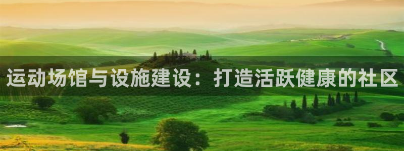 意昂3娱乐代理怎么样：运动场馆与设施建设：打造活跃健