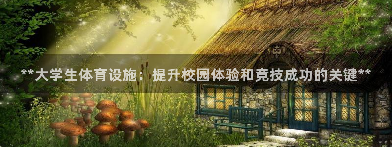 意昂平台体育：**大学生体育设施：提升校园体验和竞技