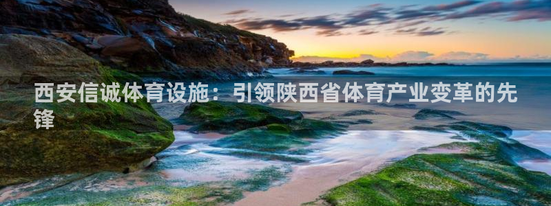 海南意昂体育3：西安信诚体育设施：引领陕西省体育产业