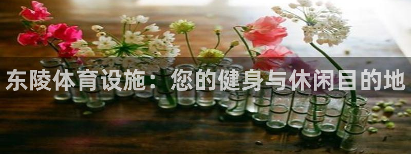 意昂体育3招商：东陵体育设施：您的健身与休闲目的地
