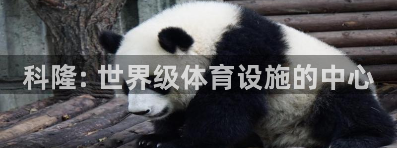 意昂3官方：科隆: 世界级体育设施的中心
