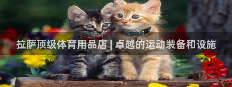 意昂体育3招商电话号码查询是多少