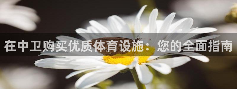 意昂体育3平台注册流程图：在中卫购买优质体育设施：您