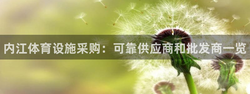 德国意昂3集团：内江体育设施采购：可靠供应商和批发商
