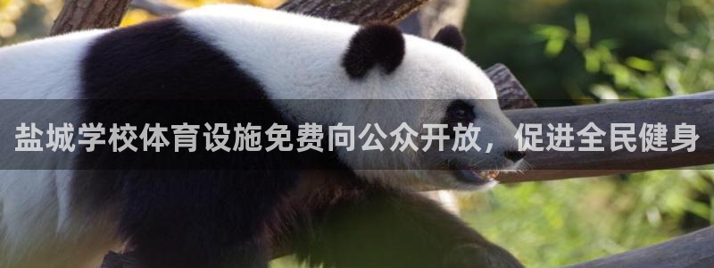 意昂3娱乐下载：盐城学校体育设施免费向公众开放，促进