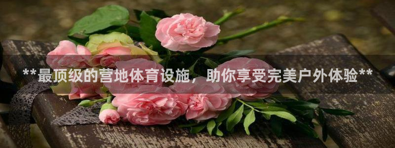 意昂体育3招商电话号码：**最顶级的营地体育设施，助