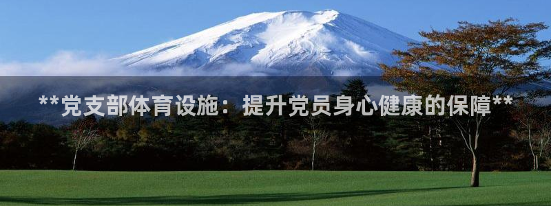 意昂3集团简介：**党支部体育设施：提升党员身心健康