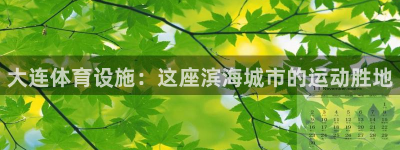 意昂体育3官方客服电话：大连体育设施：这座滨海城市的