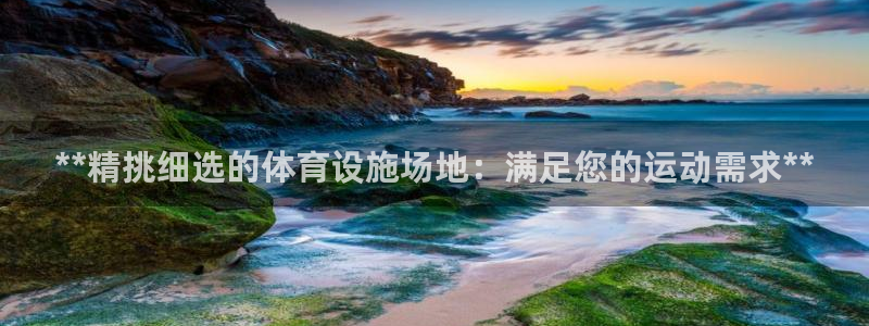 德国意昂3集团：**精挑细选的体育设施场地：满足您的