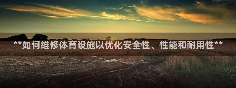 注册意昂3：**如何维修体育设施以优化安全性、性能和