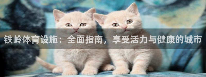 意昂3神州：铁岭体育设施：全面指南，享受活力与健康的