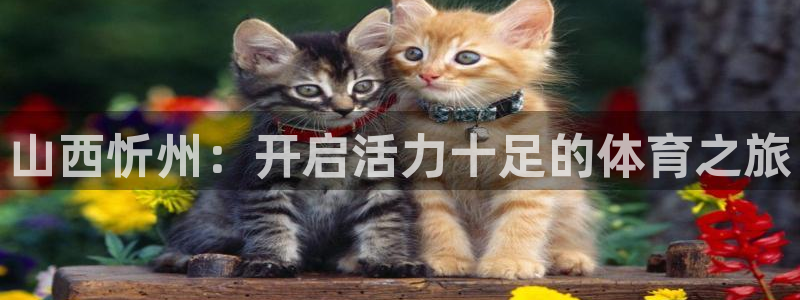 海南意昂体育3：山西忻州：开启活力十足的体育之旅