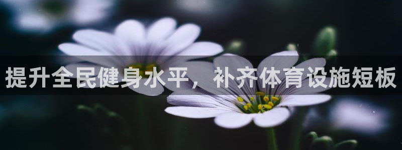 意昂体育3招商电话地址：提升全民健身水平，补齐体育设