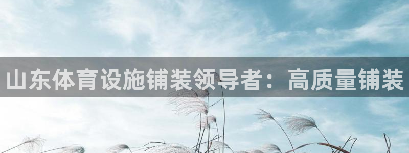意昂3娱乐：山东体育设施铺装领导者：高质量铺装
