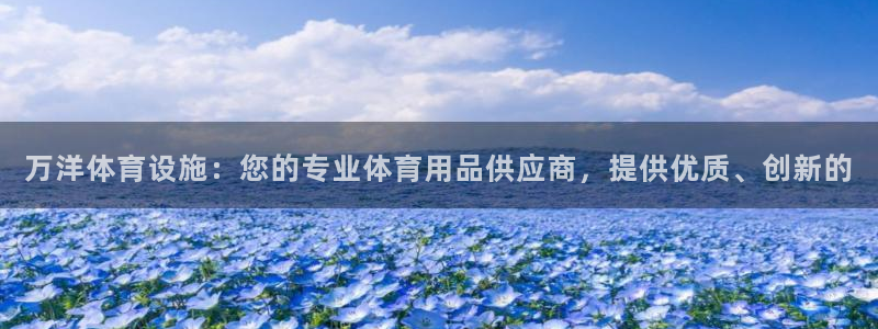 意昂3集团简介：万洋体育设施：您的专业体育用品供应商