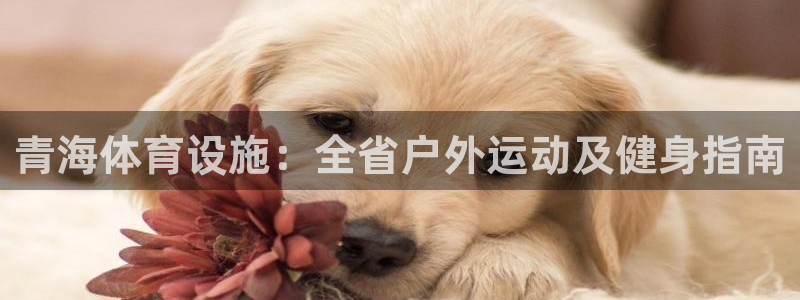 意昂3集团官网首页：青海体育设施：全省户外运动及健身