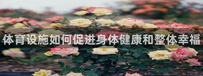 意昂3集团logo：体育设施如何促进身体健康和整体幸