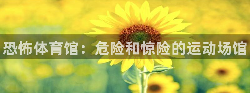 意昂3娱乐下载