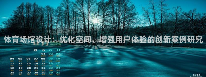 意昂3娱乐平台：体育场馆设计：优化空间、增强用户体验