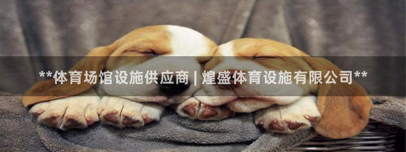 意昂平台体育：**体育场馆设施供应商 | 煌盛体育设