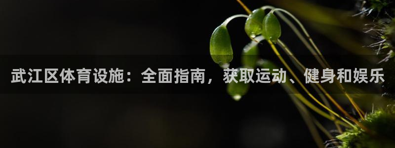 意昂体育3注册：武江区体育设施：全面指南，获取运动、