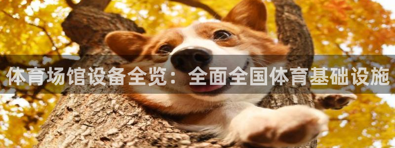 意昂体育3招商电话地址是多少