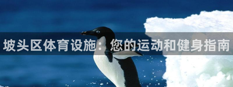 意昂体育3联系电话：坡头区体育设施：您的运动和健身指
