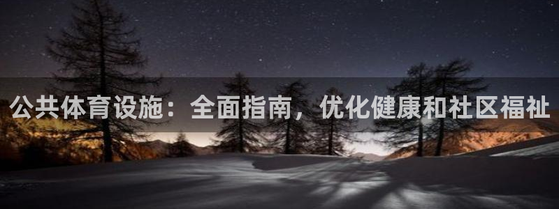 意昂3集团官网首页：公共体育设施：全面指南，优化健康