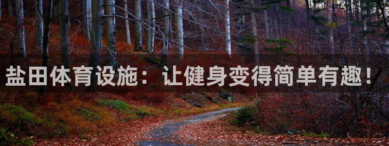 德国意昂3集团