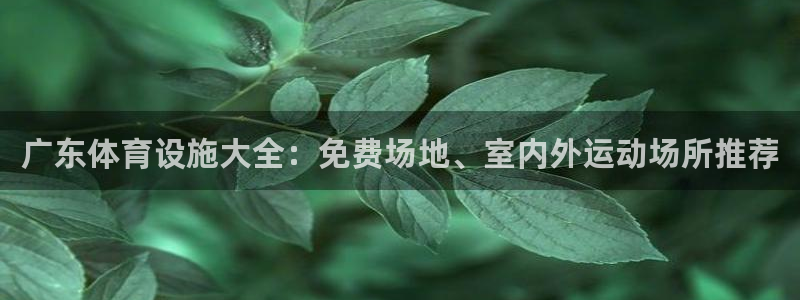 意昂体育3平台注册要钱吗安全吗：广东体育设施大全：免