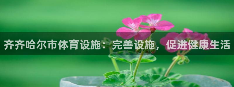 意昂体育3招商电话地址：齐齐哈尔市体育设施：完善设施