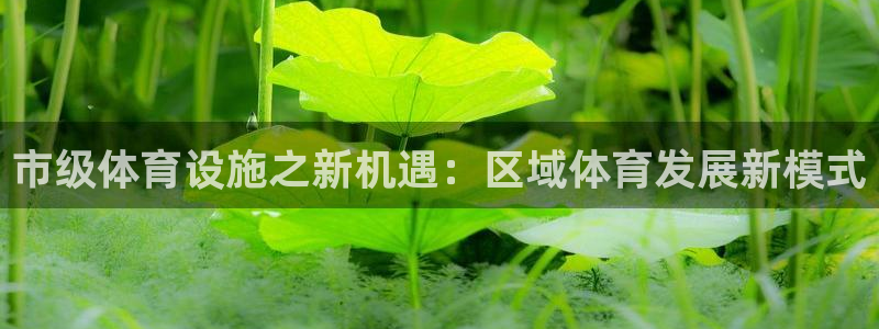 意昂3集团官网首页网址