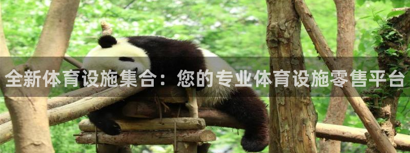 意昂3娱乐首页网站大全