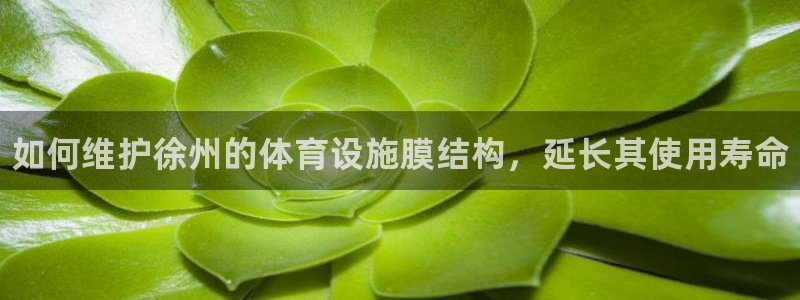 意昂体育3平台是正规平台吗知乎：如何维护徐州的体育设施膜结构