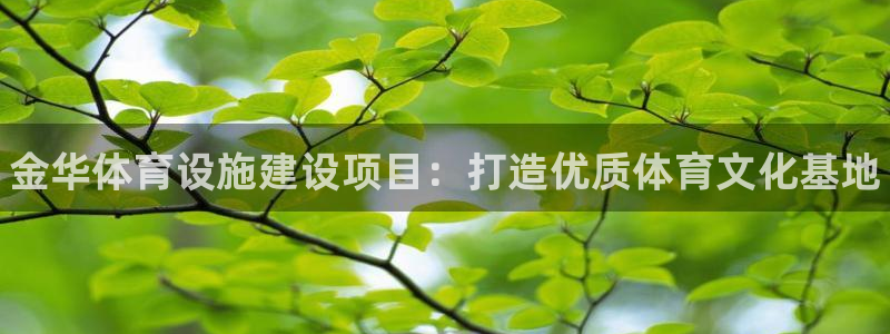 意昂3娱乐40996