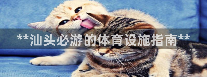 德国意昂3集团：**汕头必游的体育设施指南**