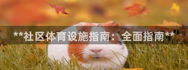 意昂3集团logo：**社区体育设施指南：全面指南*