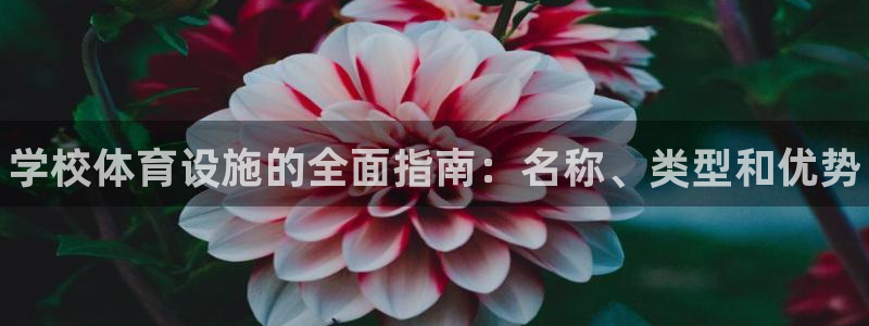 意昂体育3招商电话号码是多少：学校体育设施的全面指南