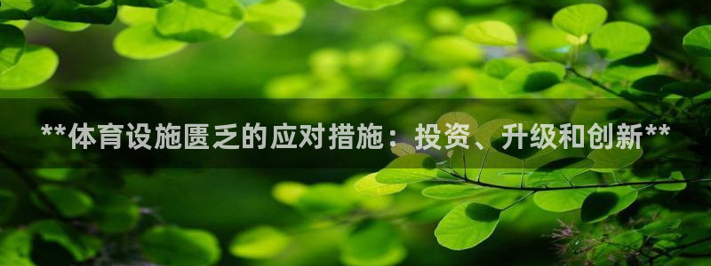意昂3集团官网网址：**体育设施匮乏的应对措施：投资、升级和
