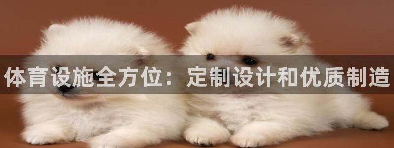 意昂体育3平台是正规平台吗：体育设施全方位：定制设计