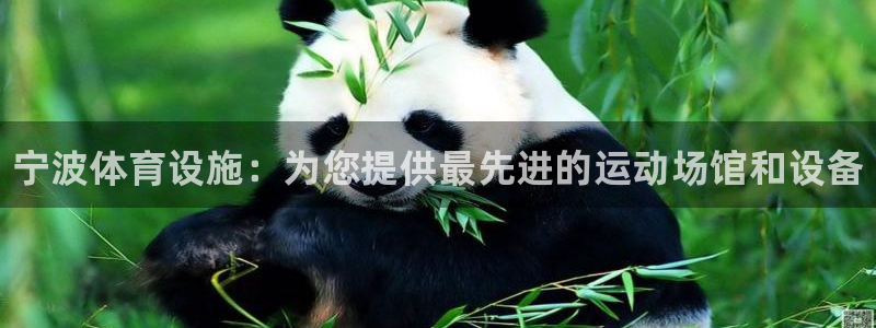 意昂体育3招商电话号码是多少号：宁波体育设施：为您提供最先进