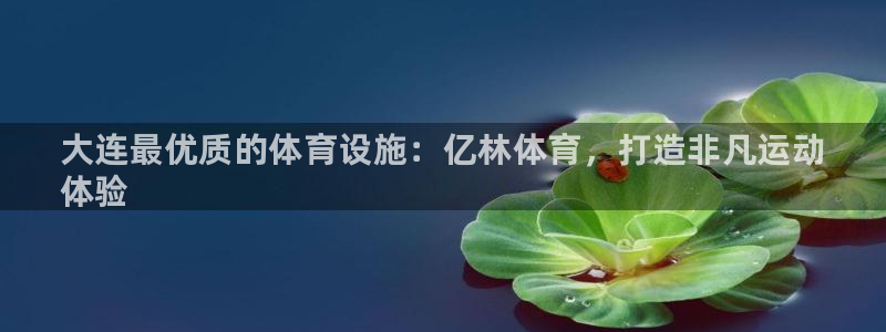 意昂体育3平台是正规平台吗：大连最优质的体育设施：亿林体育，