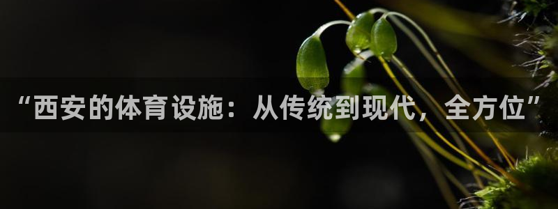 意昂体育3招商电话地址查询：“西安的体育设施：从传统