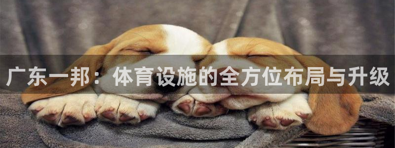 意昂3娱乐40996：广东一邦：体育设施的全方位布局