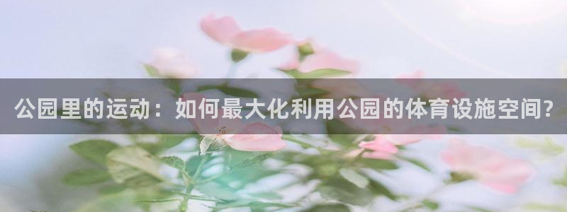 意昂体育3平台假的吗是真的吗吗：公园里的运动：如何最大化利用