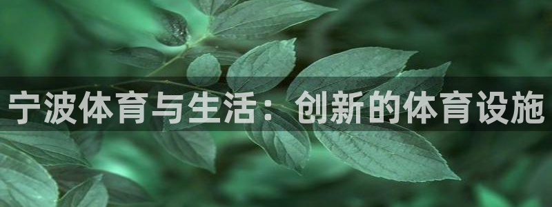 意昂体育3平台注册要钱吗安全吗：宁波体育与生活：创新的体育设