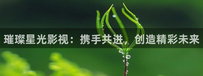 丫丫影院免费观看电视剧丫丫6080：璀璨星光影视：携手共进，创造精彩未来