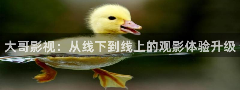 丫丫448o青苹果果影院：大哥影视：从线下到线上的观影体验升级