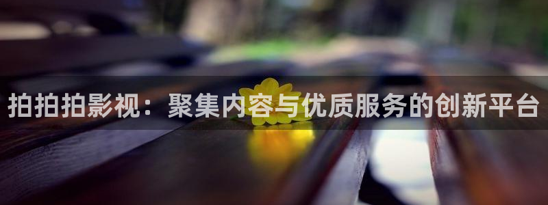 丫丫影院免费在线看电影：拍拍拍影视：聚集内容与优质服务的创新平台